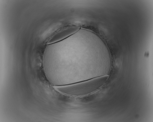 X0000113251253200909241602