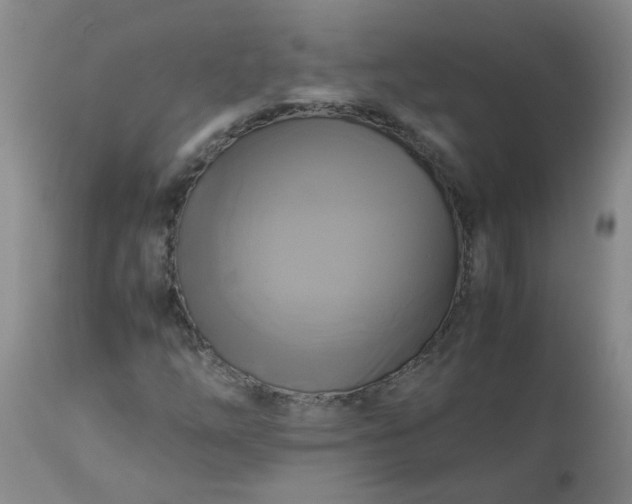 X0000113251254200909241602