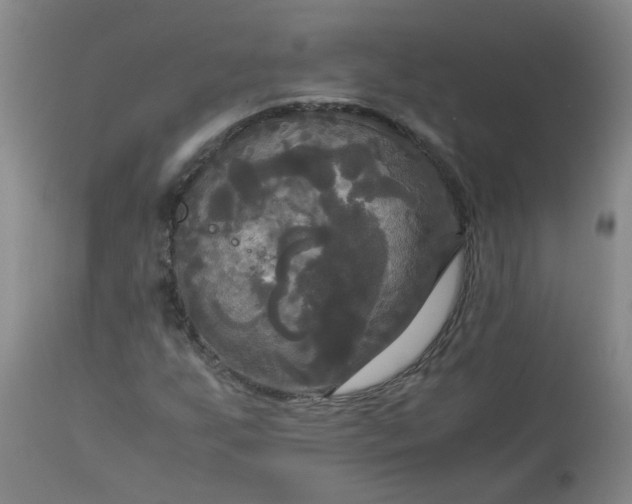 X0000113251255200909241602