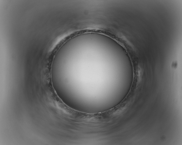 X0000113251256200909241602