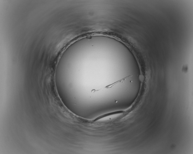 X0000113251257200909241602