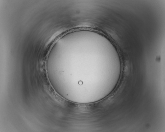 X0000113251258200909241602