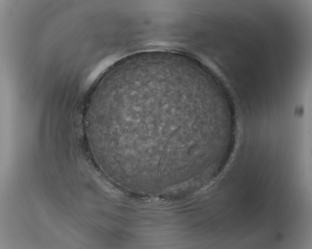 X0000113251259200909241602