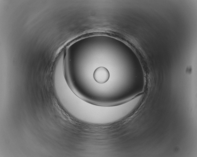 X0000113251260200909241602