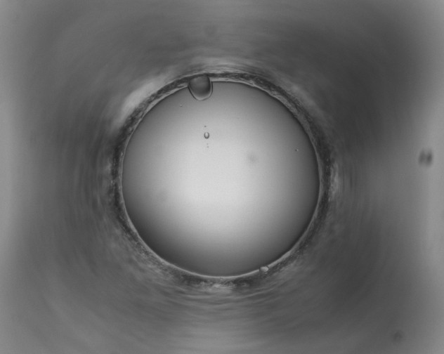 X0000113251261200909241602