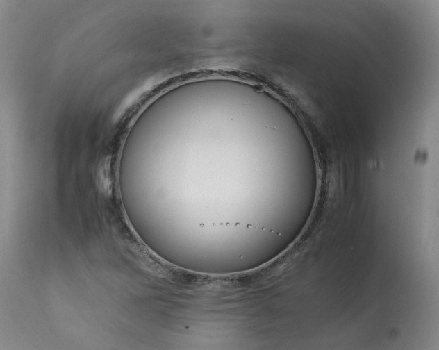 X0000113251262200909241602