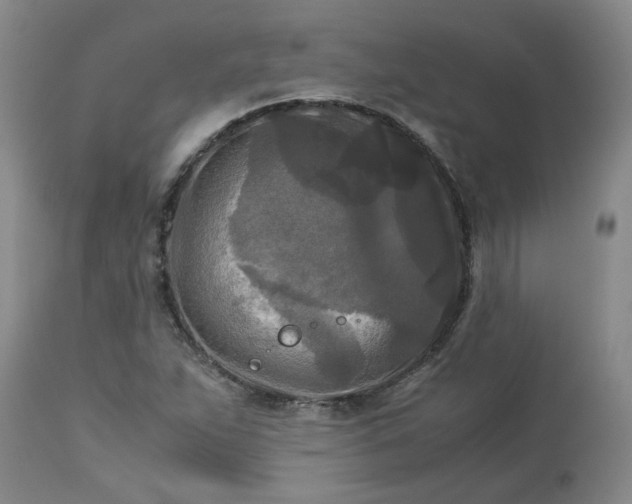 X0000113251263200909241602