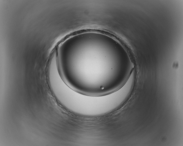 X0000113251264200909241602