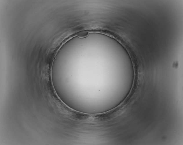 X0000113251265200909241602