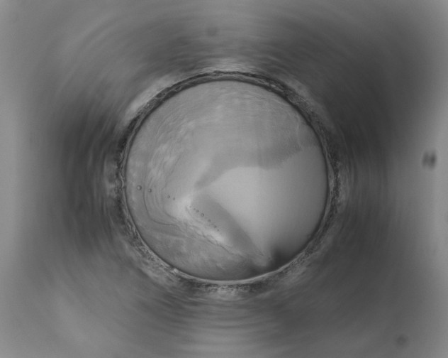 X0000113251266200909241602