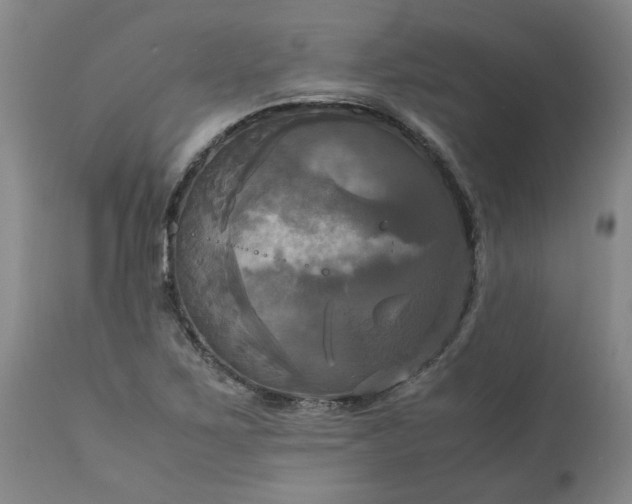 X0000113251267200909241602