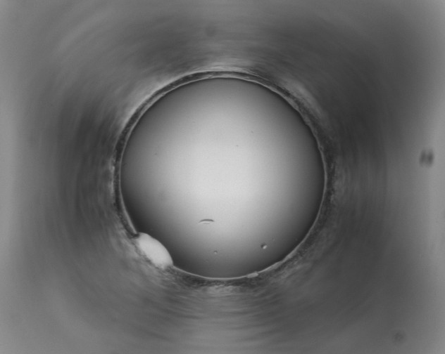 X0000113251268200909241602