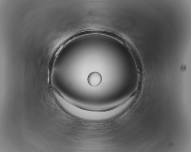 X0000113251269200909241602