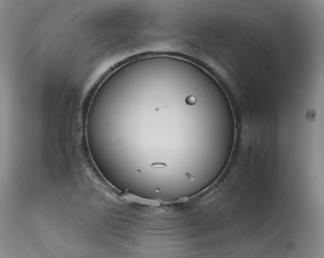 X0000113251270200909241602