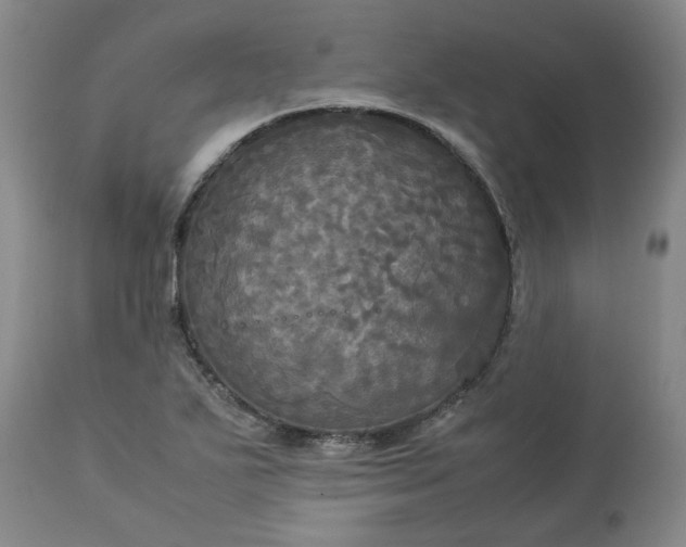 X0000113251271200909241602