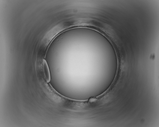 X0000113251273200909241602