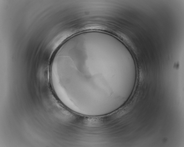 X0000113251274200909241602