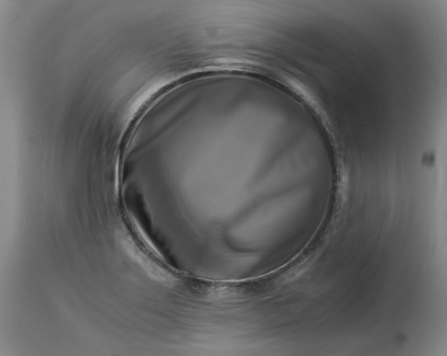 X0000113251275200909241602