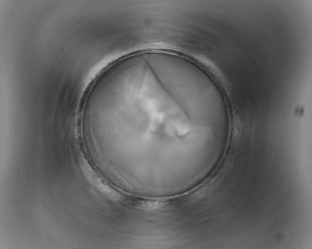 X0000113251278200909241602