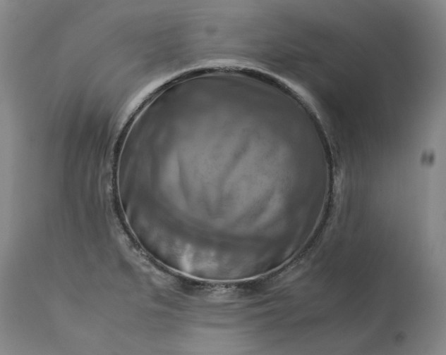 X0000113251279200909241602