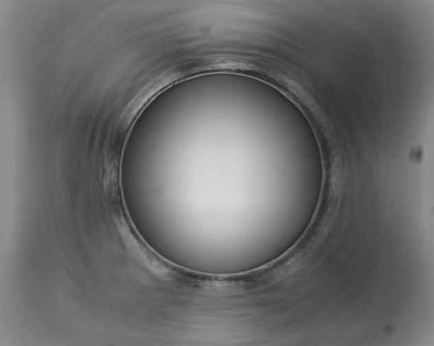 X0000113251281200909241602