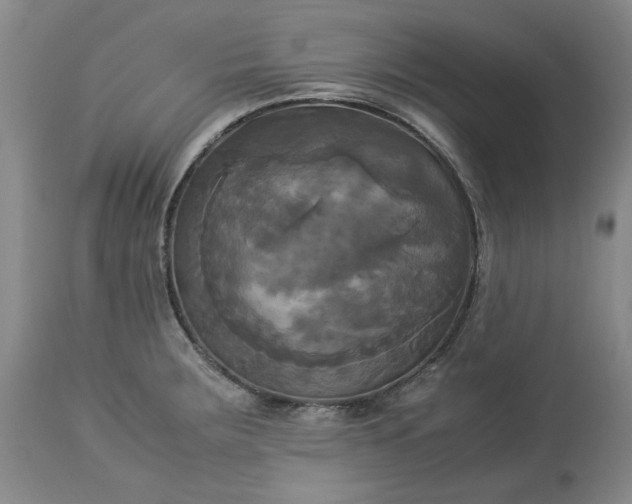 X0000113251283200909241602