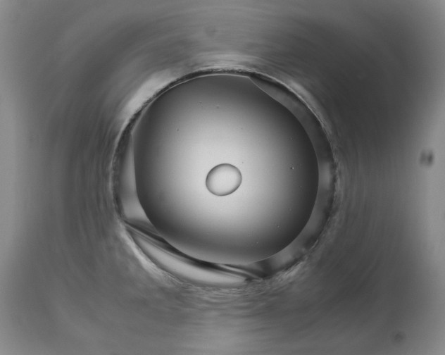 X0000113251285200909241602