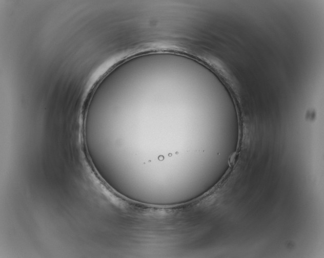 X0000113251286200909241602