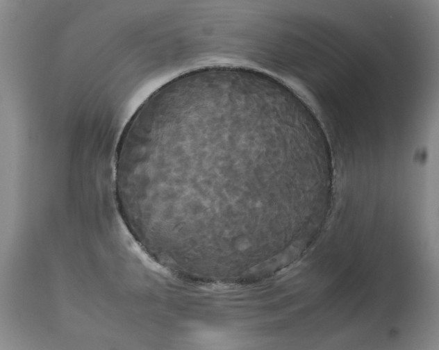 X0000113251287200909241602