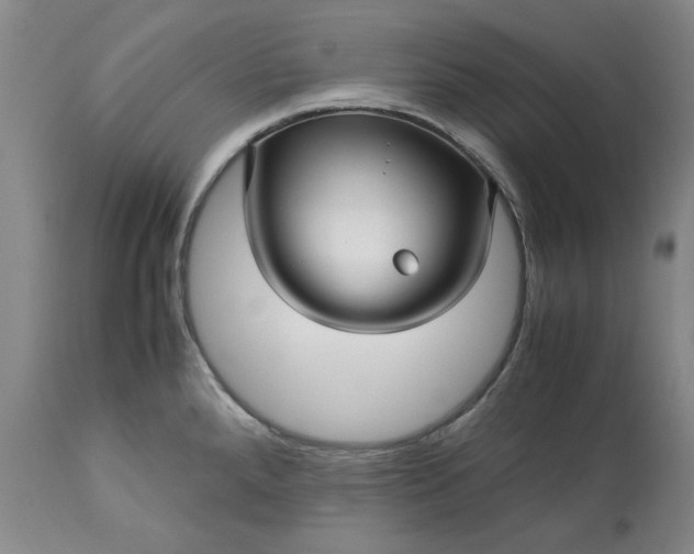 X0000113251288200909241602