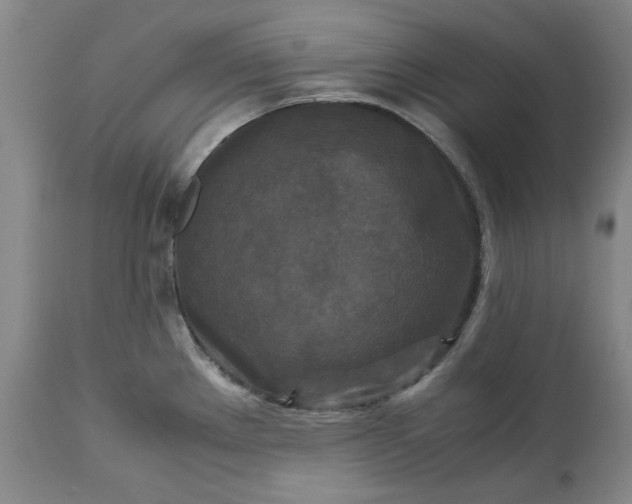 X0000113251289200909241602