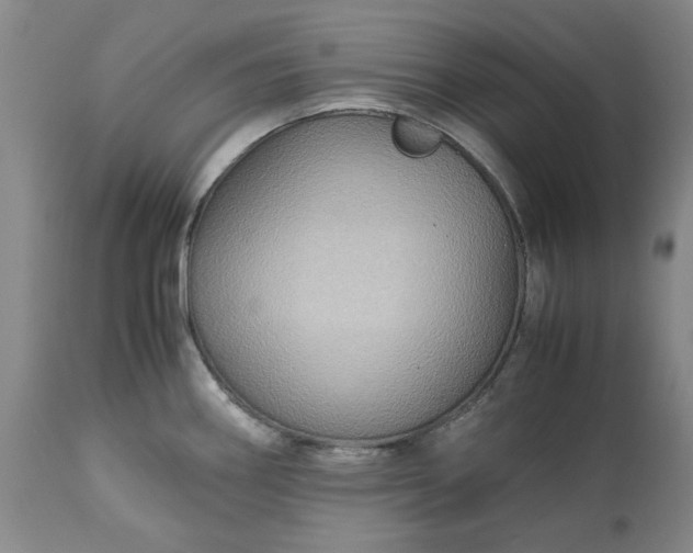 X0000113251290200909241602