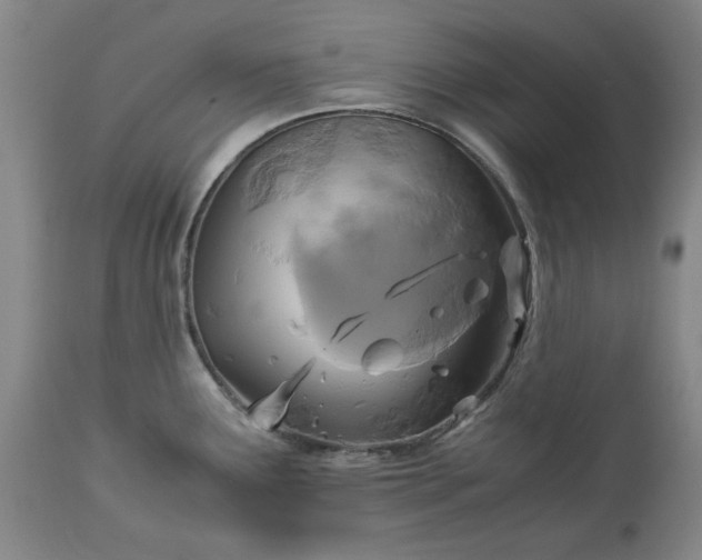 X0000113251291200909241602