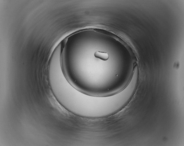 X0000113251292200909241602