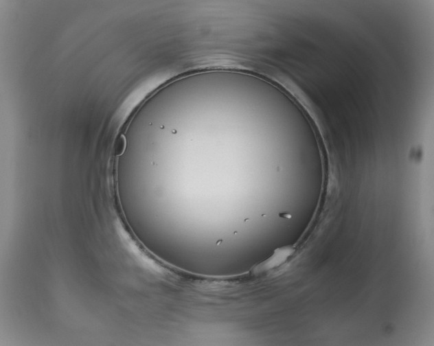 X0000113251293200909241602