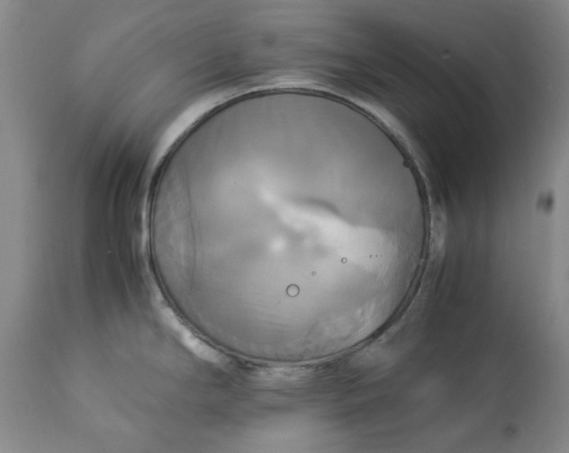 X0000113251294200909241602