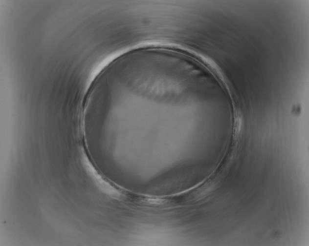 X0000113251295200909241602