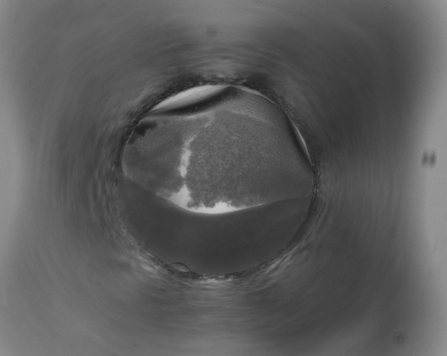 X0000113251297200909241601