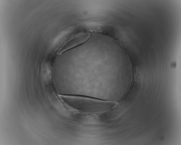 X0000113251298200909241601