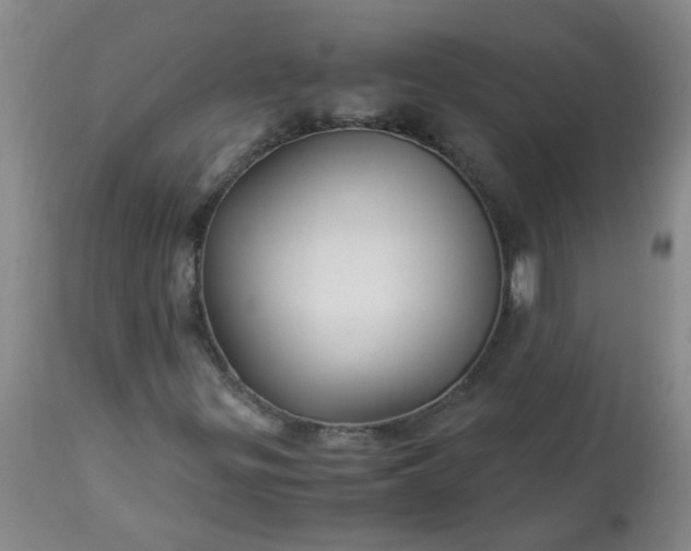 X0000113251299200909241601