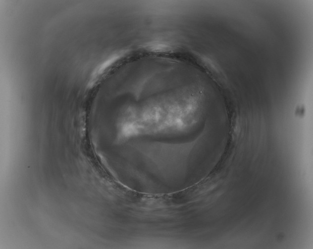 X0000113251301200909241601