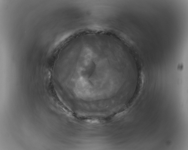 X0000113251302200909241601