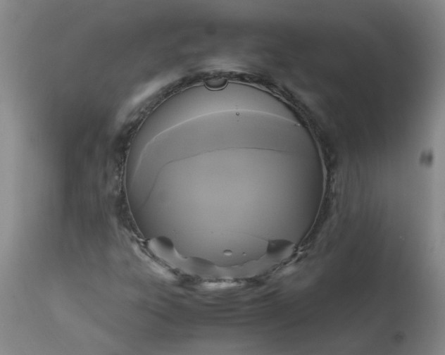 X0000113251303200909241601