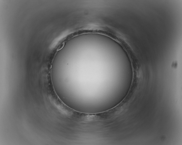 X0000113251304200909241601