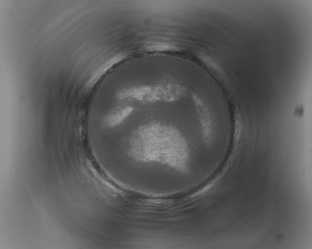 X0000113251305200909241601