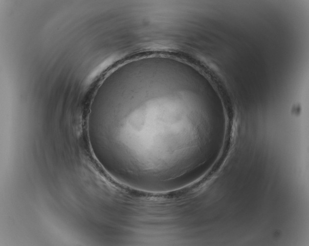 X0000113251306200909241601