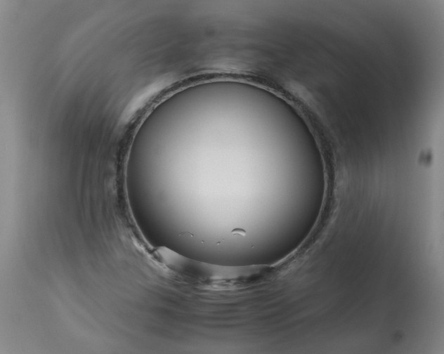 X0000113251307200909241601