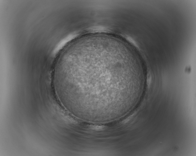 X0000113251309200909241601