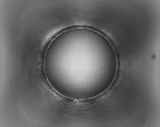 X0000113251311200909241601