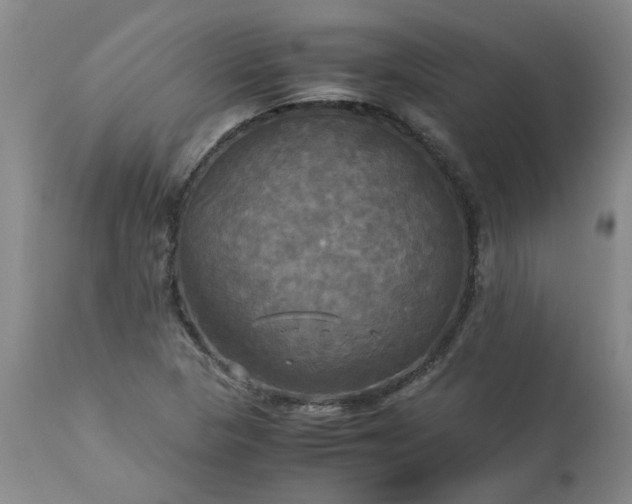 X0000113251313200909241601